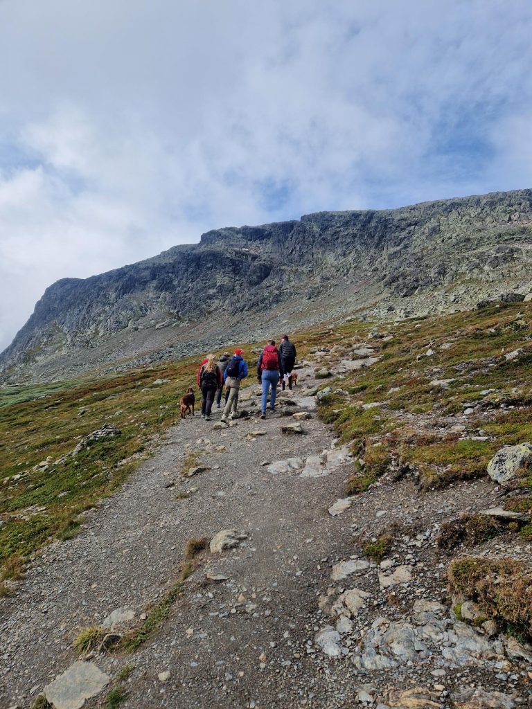 Informasjonsmøte kull 3